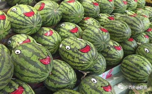 娱乐吃瓜的声音素材